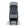 Коляска прогулочная UPPAbaby MINU V3 DILLAN