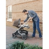 Коляска прогулочная UPPAbaby Cruz V2 THEO