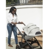 Коляска прогулочная UPPAbaby Cruz V2 ANTHONY