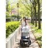 Люлька для коляски UPPAbaby Cruz и Vista ANTHONY