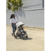 Коляска прогулочная UPPAbaby Cruz V2 ANTHONY