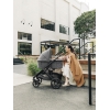 Люлька для коляски UPPAbaby V3 GREYSON