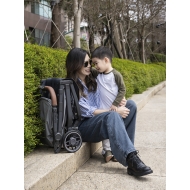 Коляска прогулочная UPPAbaby MINU V3 GREYSON