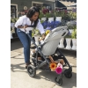 Коляска прогулочная UPPAbaby Cruz V2 ANTHONY