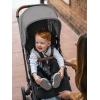 Коляска прогулочная UPPAbaby MINU V2 GREYSON