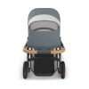 Коляска 2в1 UPPAbaby VISTA V3 DILLAN