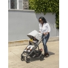 Коляска прогулочная UPPAbaby Cruz V2 ANTHONY