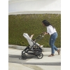 Коляска прогулочная UPPAbaby Cruz V2 ANTHONY