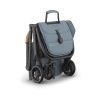 Коляска прогулочная UPPAbaby MINU V3 DILLAN